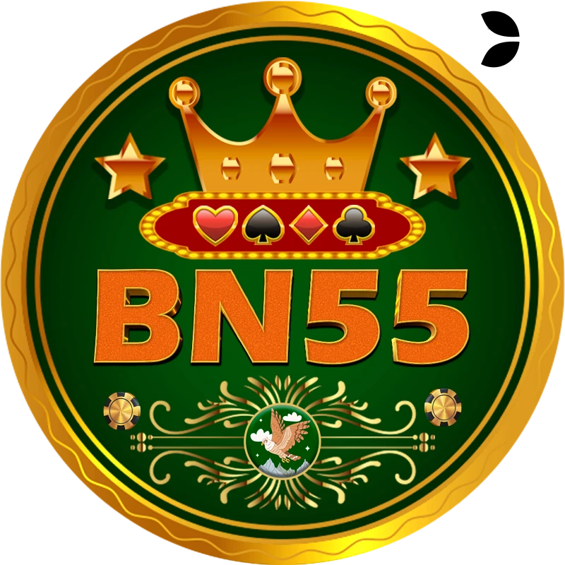 bn55 Flash v1.0.1